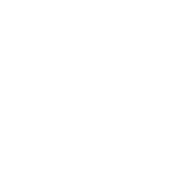 Dental Braces